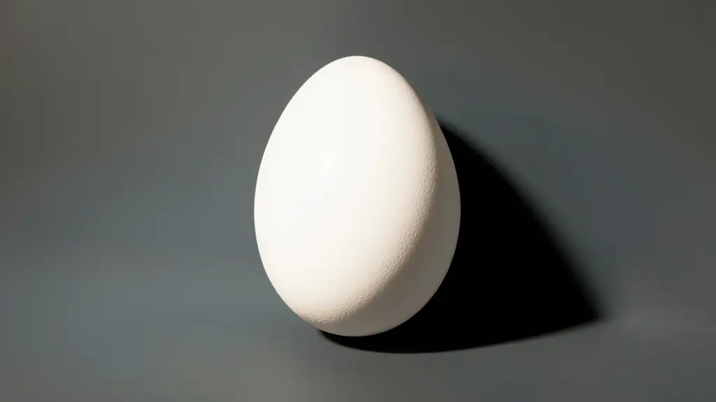 Studio photograph of a white egg against a charcoal background, large diffused side light, black flag creating a sculpted shadow